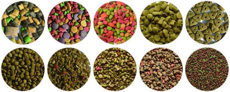 pet food making machine
